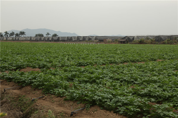 农业种植基地.jpg