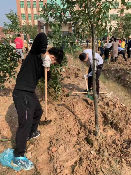 坦洲司法所参加坦洲镇2019年"学雷锋 齐植树 美化幸福坦洲家园"植树护
