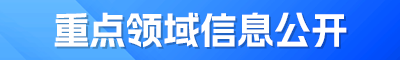 重点领域信息公开