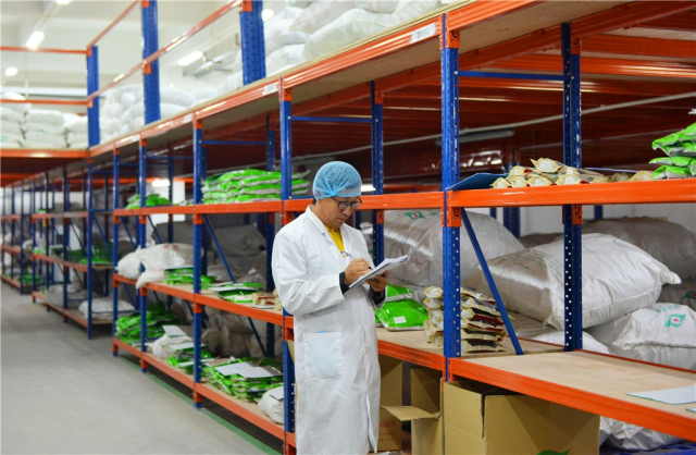 A staff member of Zhongshan Jianhe Traditional Chinese Medicine Co Ltd is doing an inventory check. [Photo by Wen Bo]