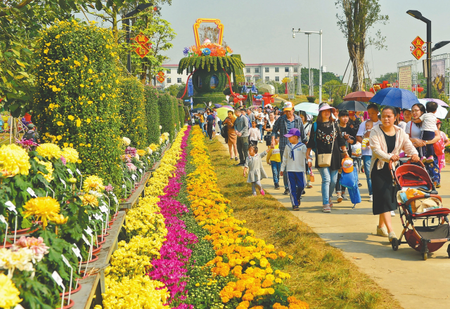 The 2019 Xiaolan Chrysanthemum Fair opened on November 23, attracting numerous flower lovers. [Photo by Xia Shengquan]