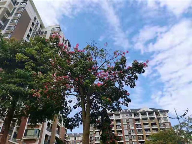 0510-3.jpg