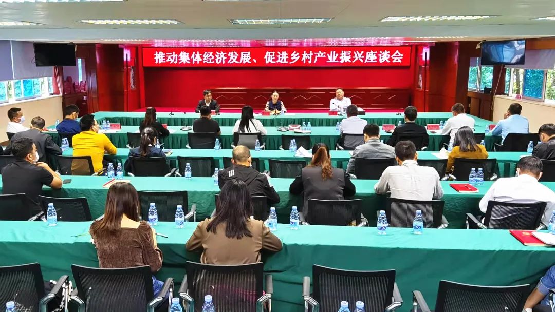 2021-11-17港口镇召开推动集体经济发展 促进乡村产业振兴座谈会001.jpg