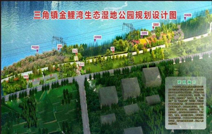 金鲤湾生态湿地公园