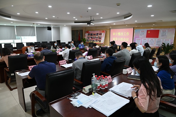 审计整改工作领导小组会议.JPG