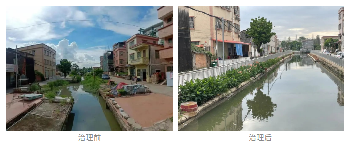 副市长曾奕到港口镇调研水污染治理工作003.png