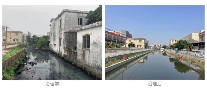 副市长曾奕到港口镇调研水污染治理工作002.png