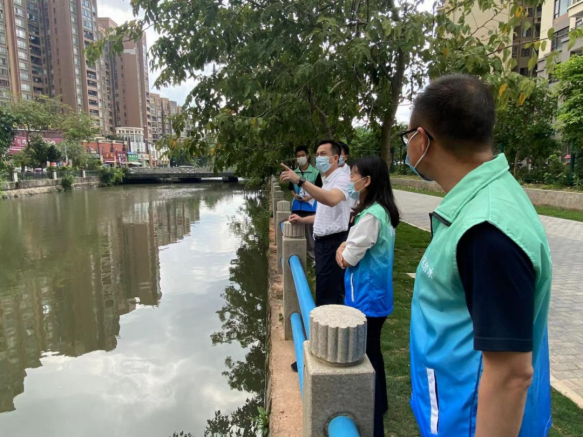拟发网站信息（10篇）26062.png
