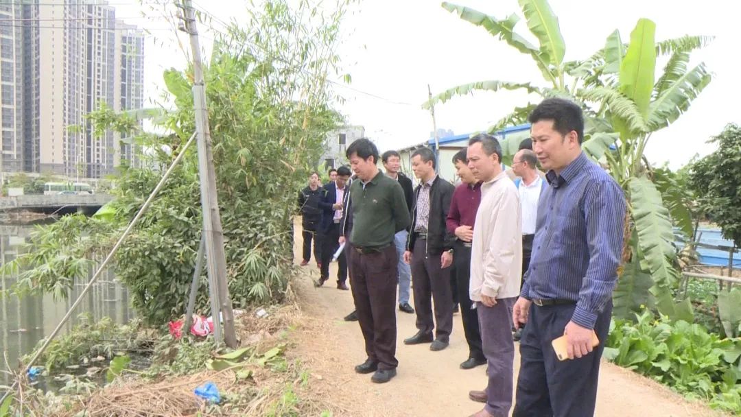 2019-12-17港口镇召集相关部门召开美丽田园建设工作推进现场会002.jpg