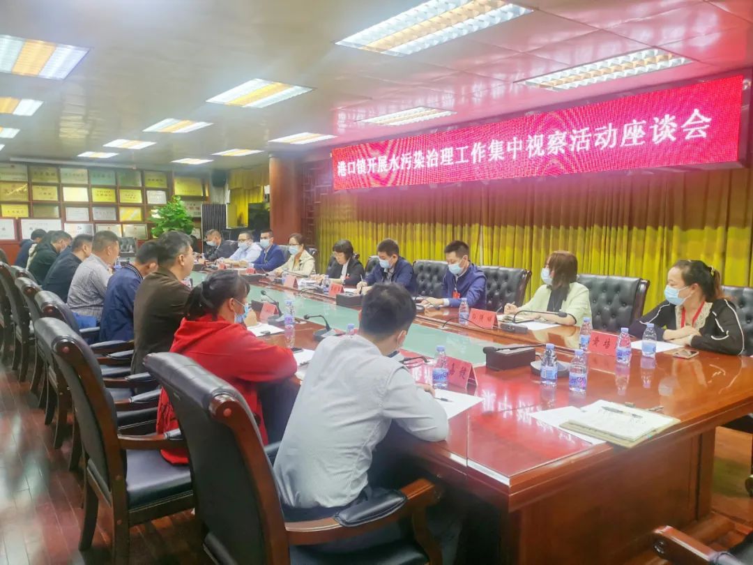 市、镇人大代表监督视察港口镇水污染治理工程002.jpeg