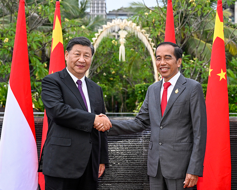 习近平同印尼总统佐科举行会谈001.jpg