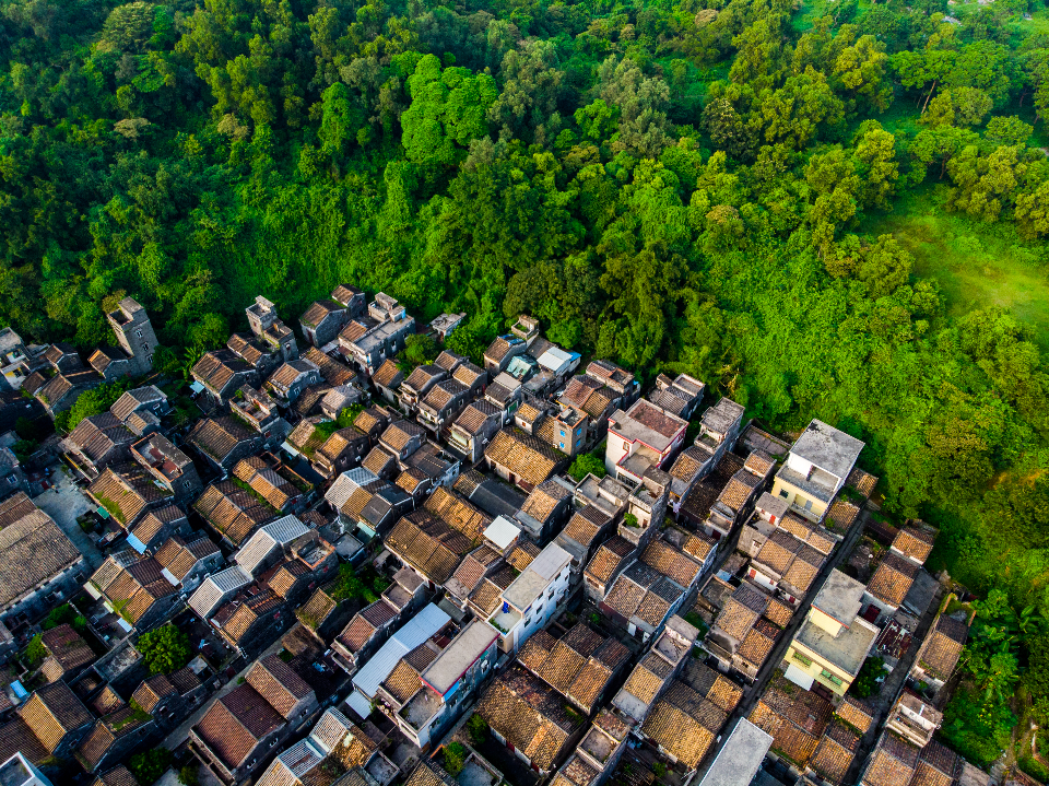 3《绿色村庄》 （2019年9月15日，大涌镇起凤环社区，刘诗觉）.jpg