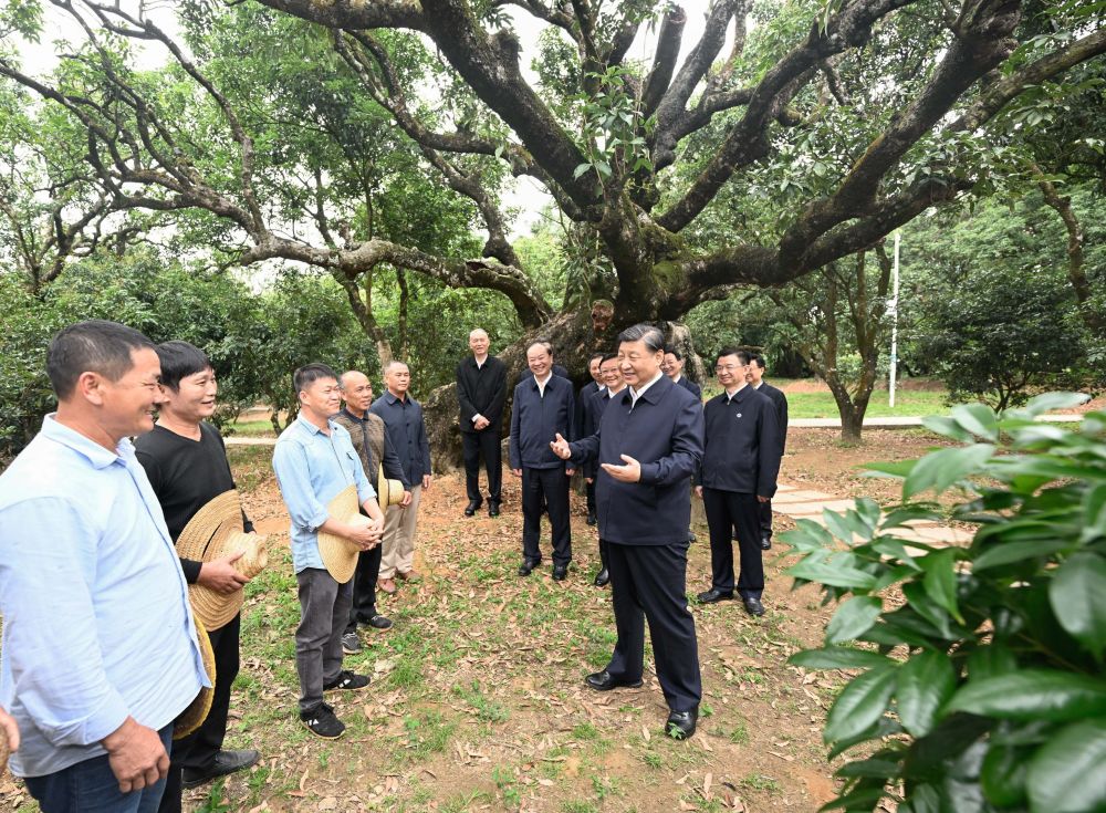 习近平在广东考察08.jpg