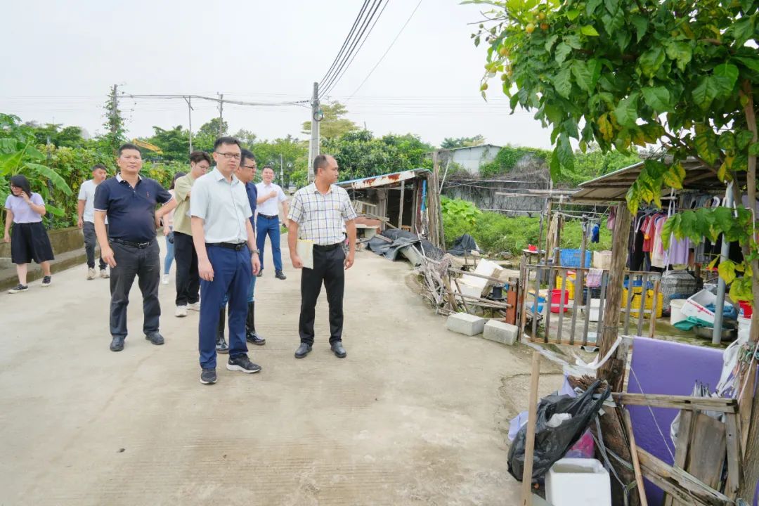 【聚力“百千万工程”⑧】精准施策，港口镇全力做好“两违”整治！.jpeg