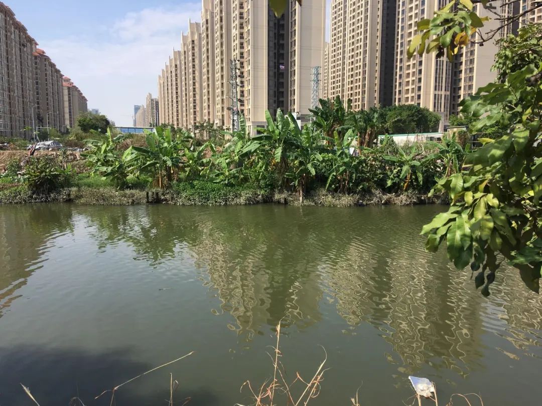 港口镇这些城建民生类项目今年动工建设003.jpg