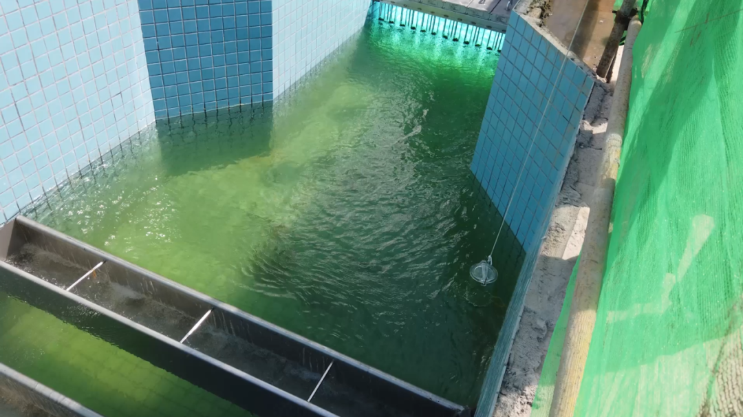 净污规模翻倍，中山港口污水处理扩建项目通水4.png