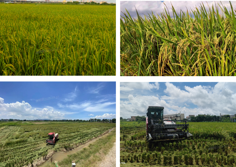 2023-07-27 10-58-03屏幕截图.png