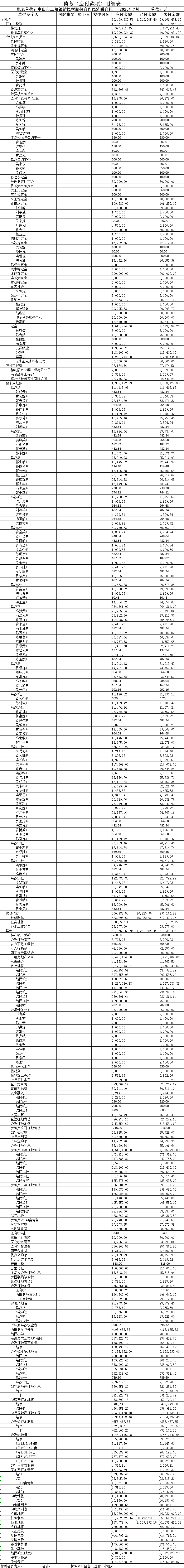 债务（应付款项）明细表 (1).png