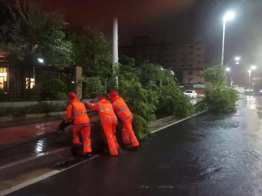 市委常委会召开会议：切实扛起环保督察整改责任 加大全市未达标水体整治力度 (1).jpeg