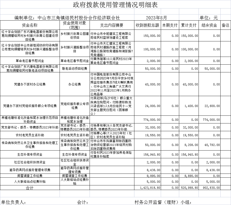结民村政府拨款使用管理情况明细表.png