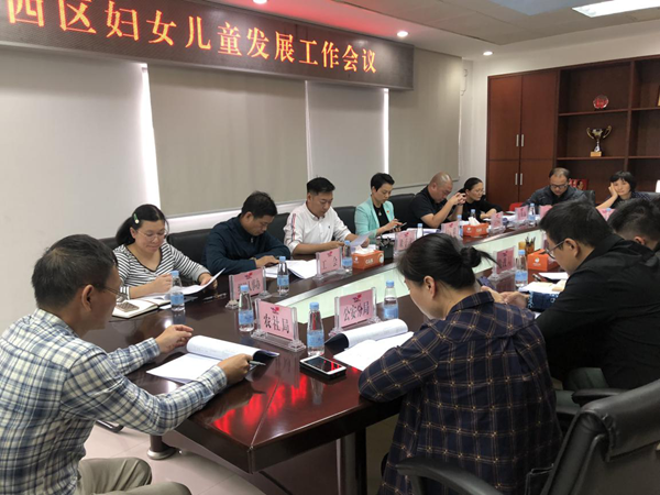 西区召开妇女儿童发展工作会议.png