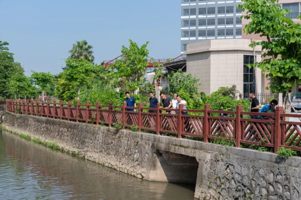 重拳治违再发力，铁腕治水再提升，大涌镇多部门开展联合执法行动