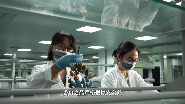 图片12.png