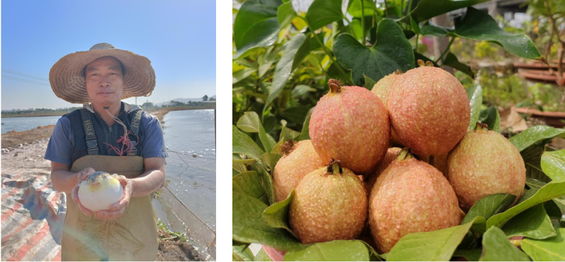 2024-03-18 10-59-48屏幕截图.png