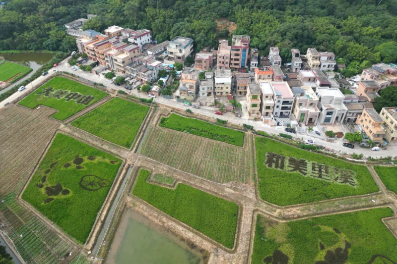 红色文化代代传，文明浸润山村秀｜文明实践中山巡礼