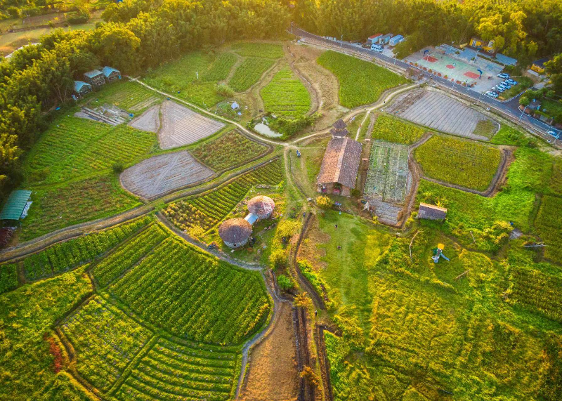 桂南村4.jpg
