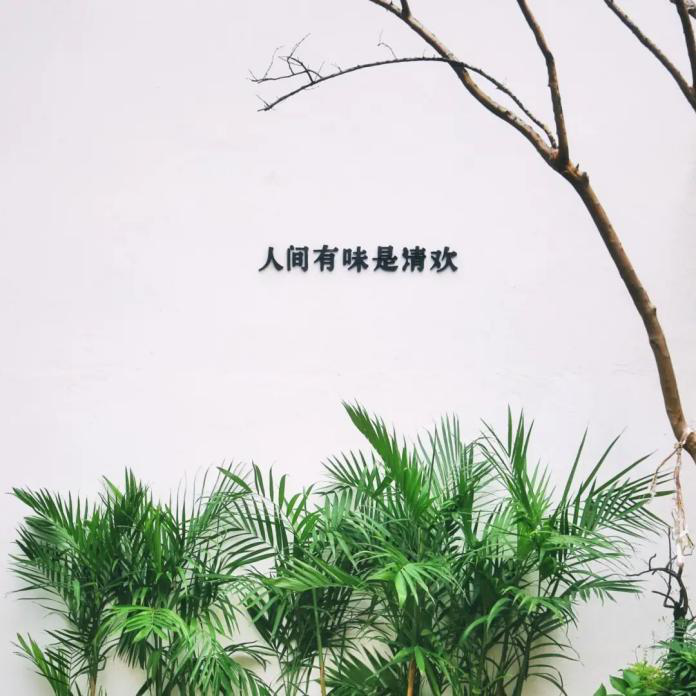 图片19.png