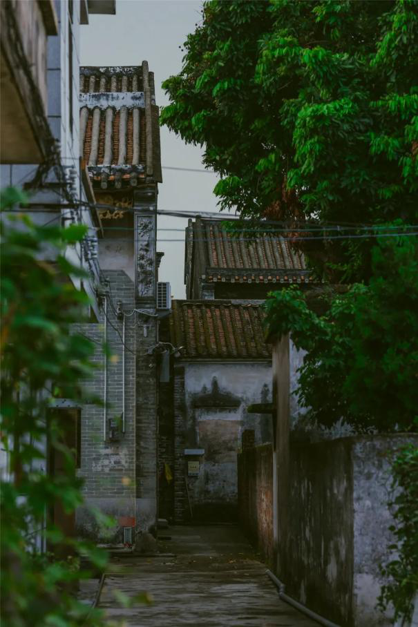 图片94.png