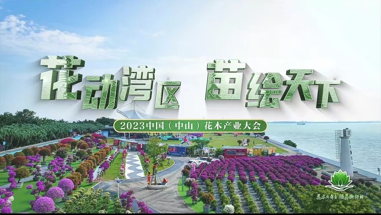 花动湾区