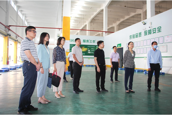 广东省供销社党组书记理事会主任叶梅芬赴中山市供销社调研指导