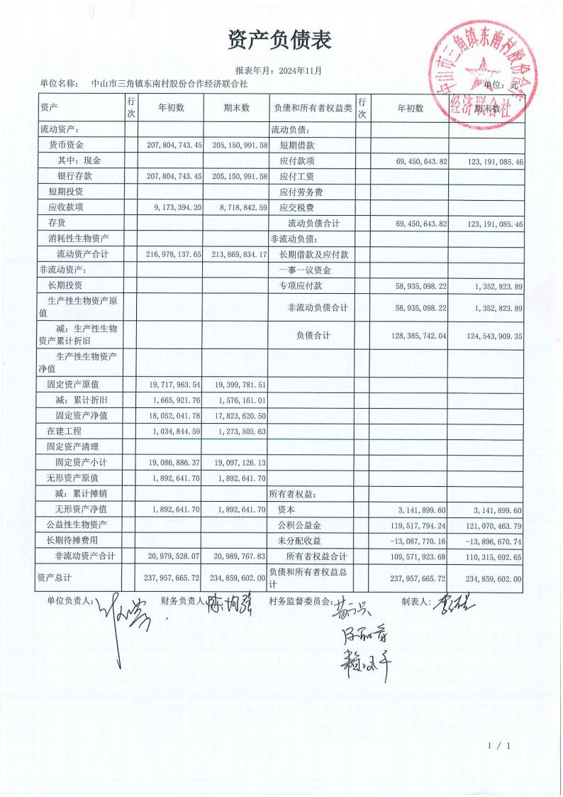 东南村2024年11月村务公开_00.jpg