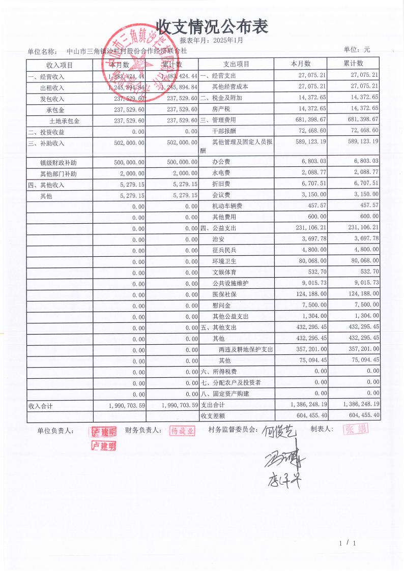 沙栏村2025年1月财务公开pdf_09.jpg