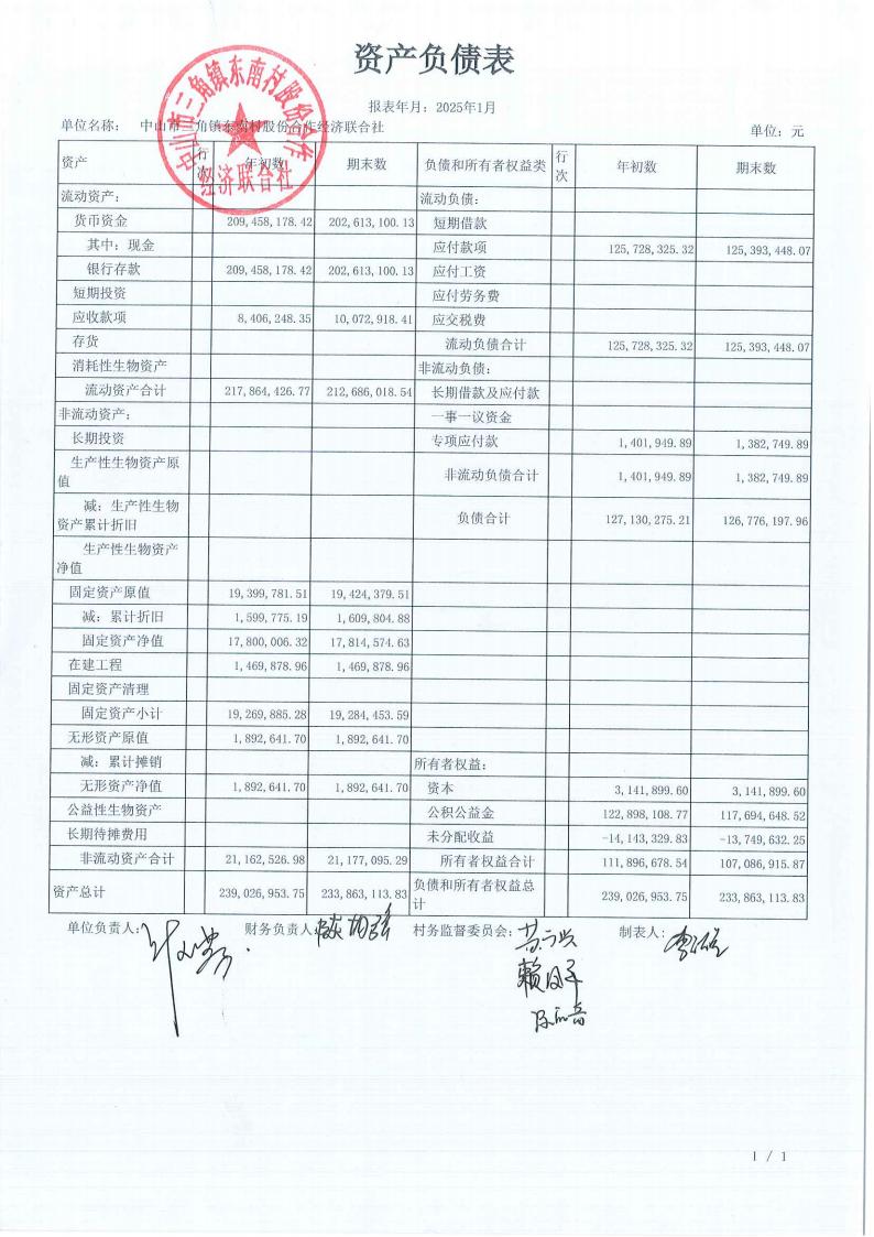 东南村2025年1月财务公开_00.jpg