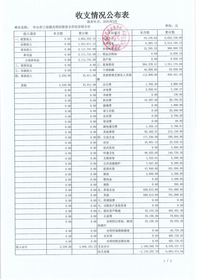 光明村2月份财务公布表_10.jpg