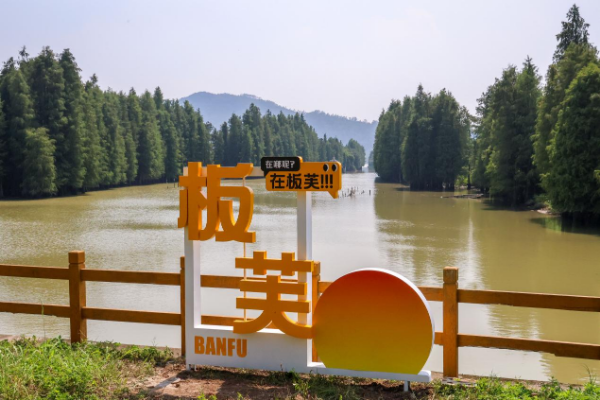 图片18.png
