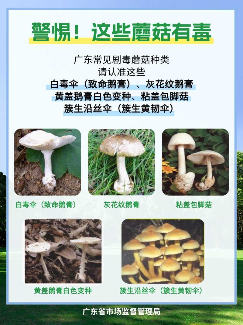图片9.png