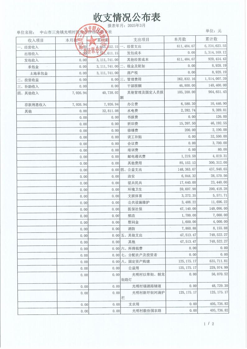 光明村2025年3月财务公开_11.jpg