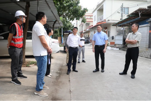 市农业农村局领导到三角镇实地调研农房风貌提升工作