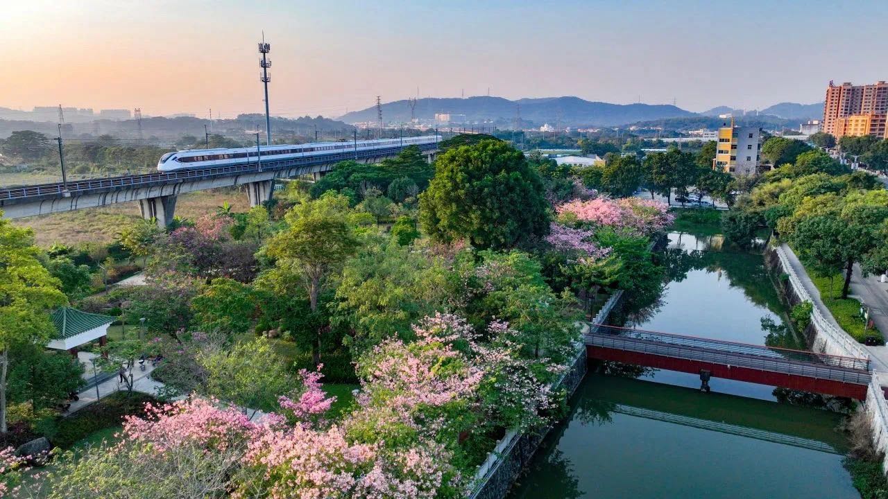 聚焦“百千万工程”丨中山治水成效获全国关注，南朗街道分享群众路线密码