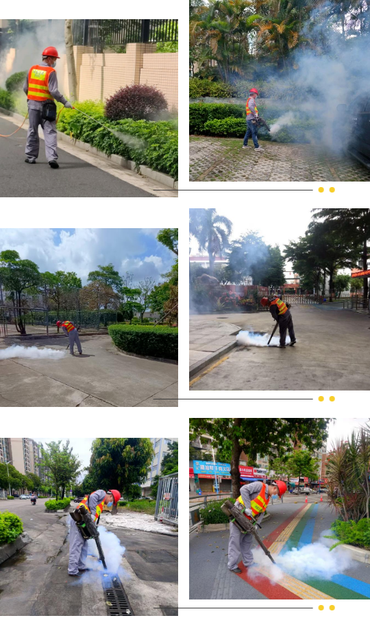 预防登革热，港口在行动2.png