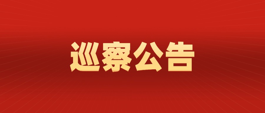巡 察 公 告