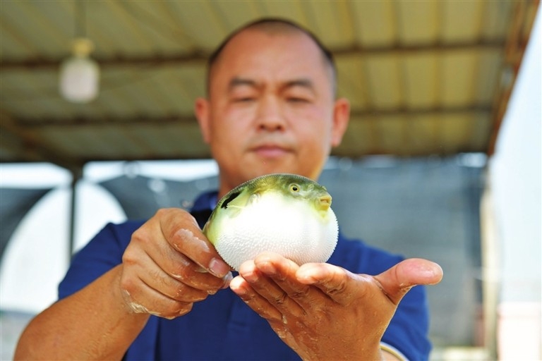 Guangdong Zhongshan ...