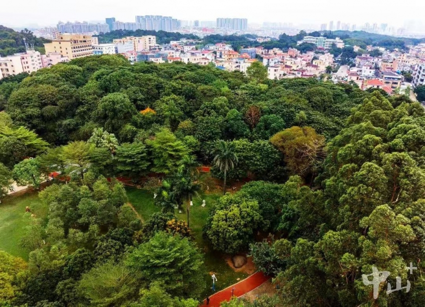 Shaxi Park