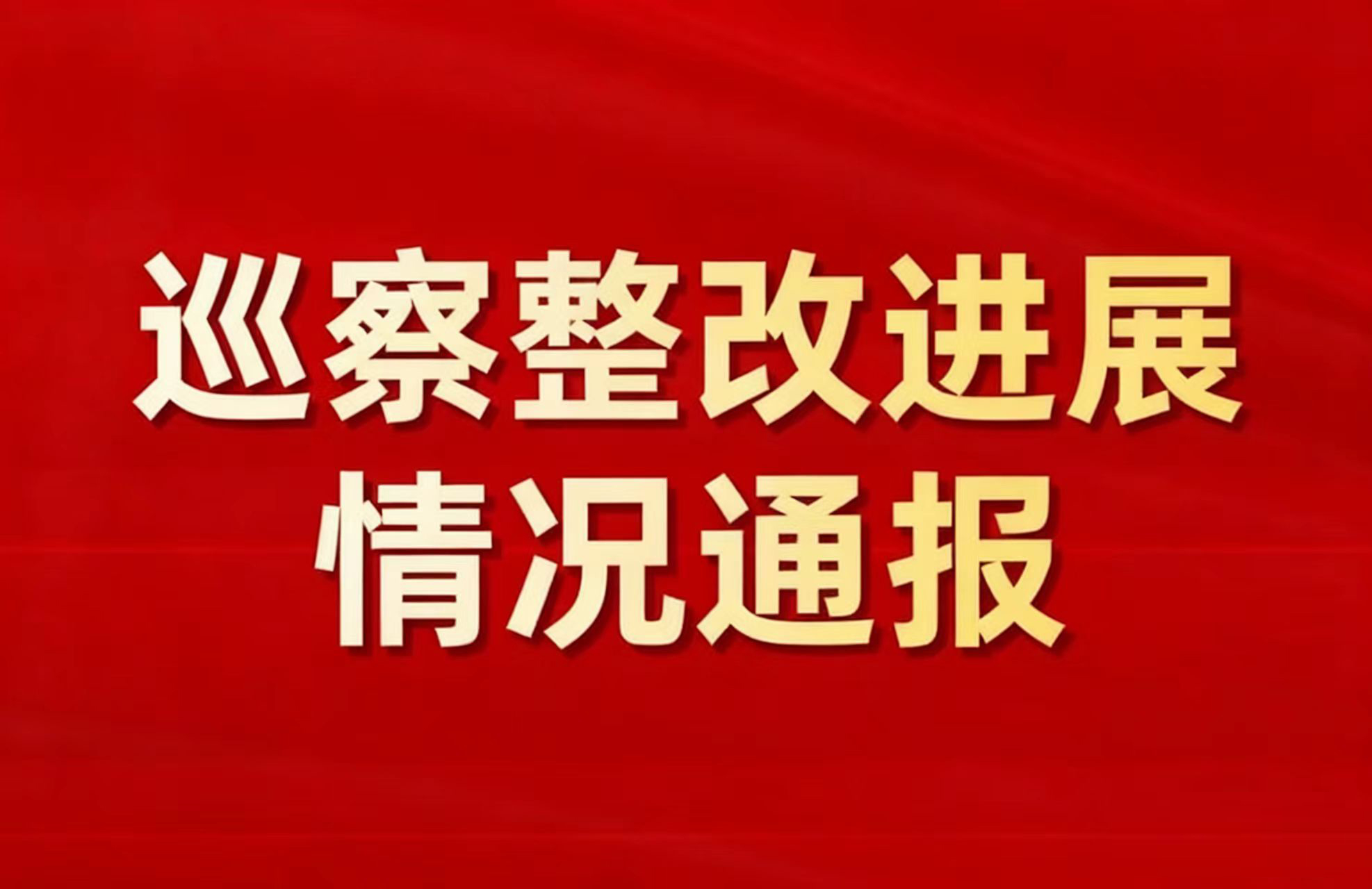 中共中山市小榄镇委员会关于十五届市委<br/>第六轮巡察整改进展情况的通报