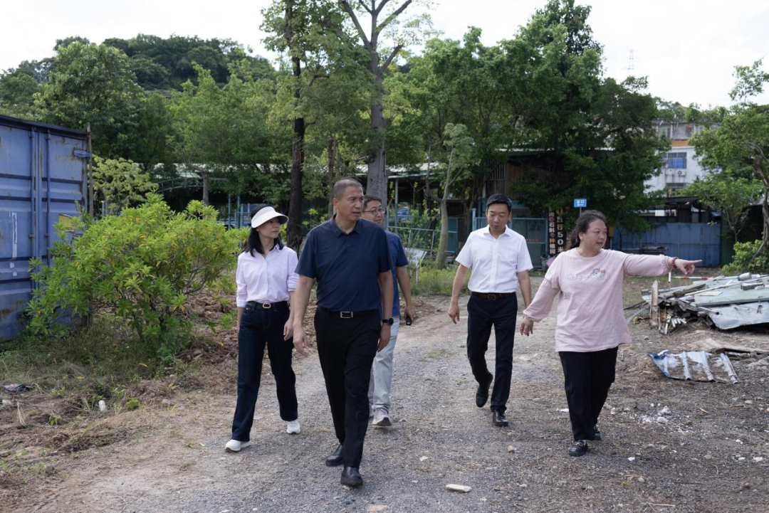 东区街道集中开展爱国卫生运动统一行动