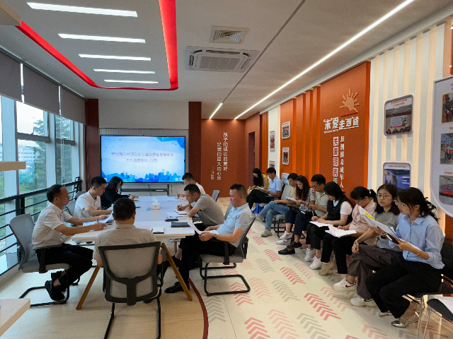 每月定期调度“双百”社工高质量发展三年行动工作.jpg
